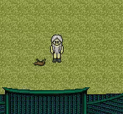 2890321776_yUK2pGvh_5510c9dc691d250a73235de27cf9f40f6f2a30bb.gif